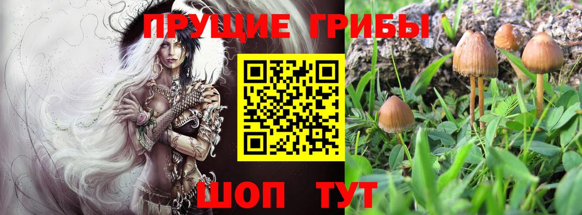 Псилоцибиновые грибы мухоморы Тельмана