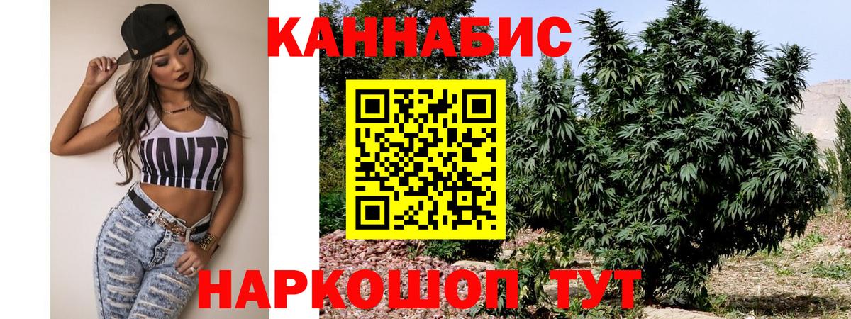 Бошки Шишки план Тельмана